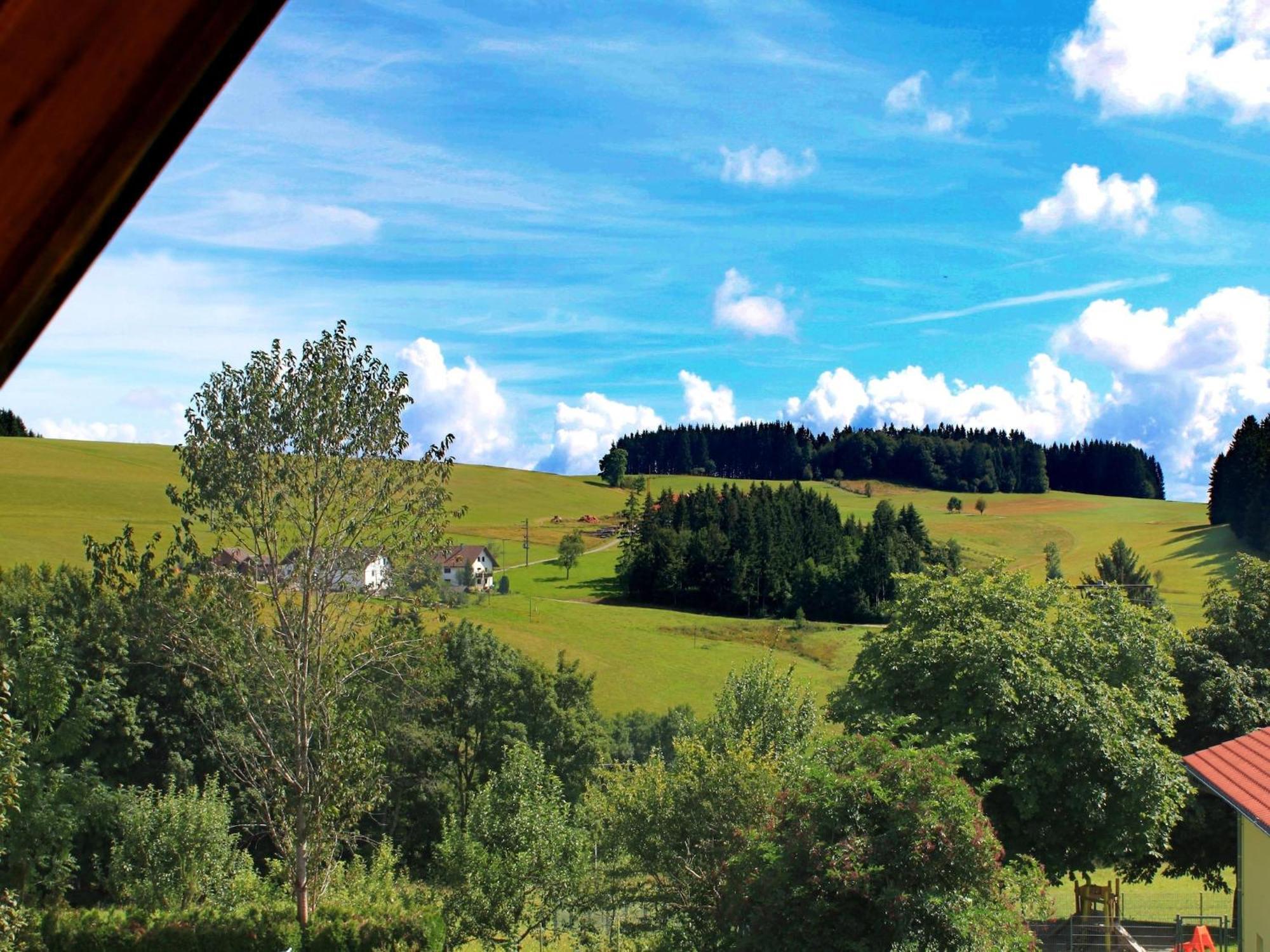 Beautiful Apartment Near The Lake Herrischried Exterior foto